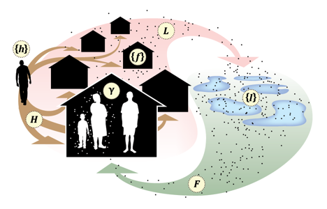 Figure 1: In microsimulation models, mosquitoes move among point sets. Blood feeding on hosts occurs at a fixed set of locations. Also see Perkins, et al. (2013). This figure illustrates some of the key elements: a set of points where mosquitoes feed, {f}, and habitats where they lay eggs {l}. Dispersal among those point sets is determined by two matrices, one that describes dispersal to blood feed, F, and another to lay eggs, L. The framework also describes exposure to infection by a human population.