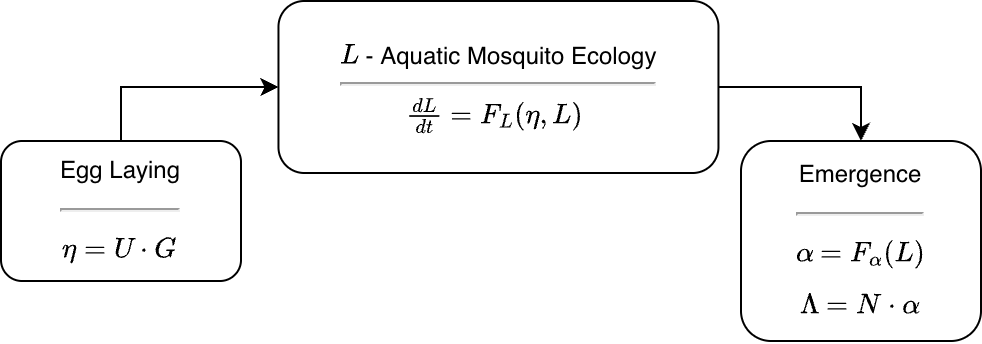 Figure 1 - A diagram of the L Component in context