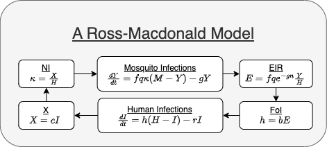 Figure 1 - Diagram of a Ross-Macdonald model in Box 1, rewritten in a modular form.