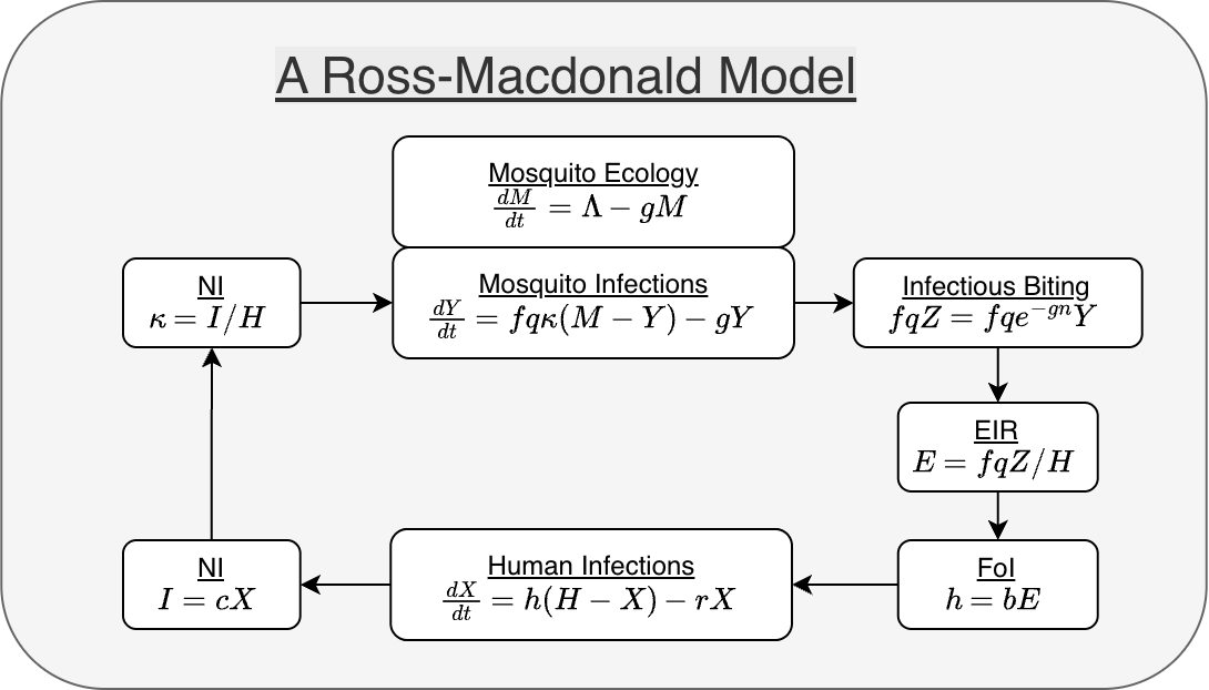 Figure 2 - Diagram of a Ross-Macdonald model that shows how the dynamical terms are computed, step-by-step, to enable models with spatial dynamics and realism.