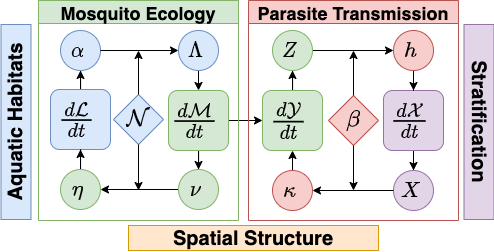 Figure 1 A diagram of the core components in dynamical systems models of malaria: \cal L